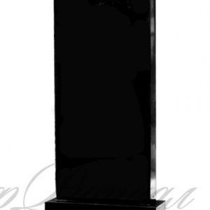 no2_pryamoy