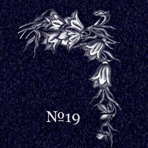 no19