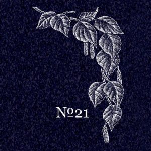 no21