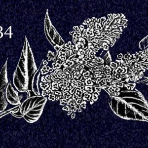 no34