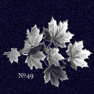 no49