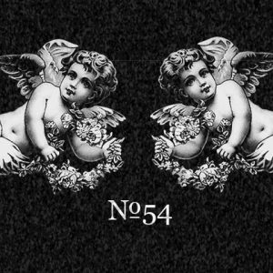 no54